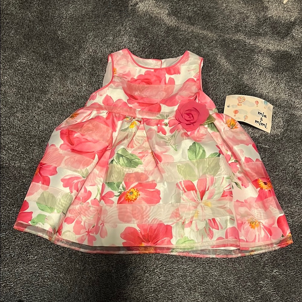 NWT Floral Pink and Green Dress